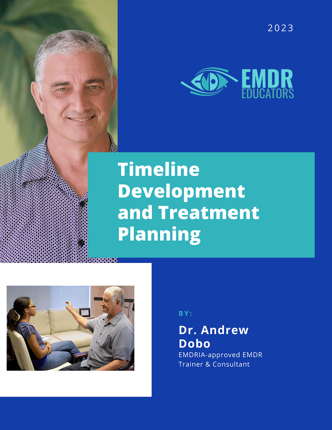 EMDR Timeline and Treatment Plan Development Guide